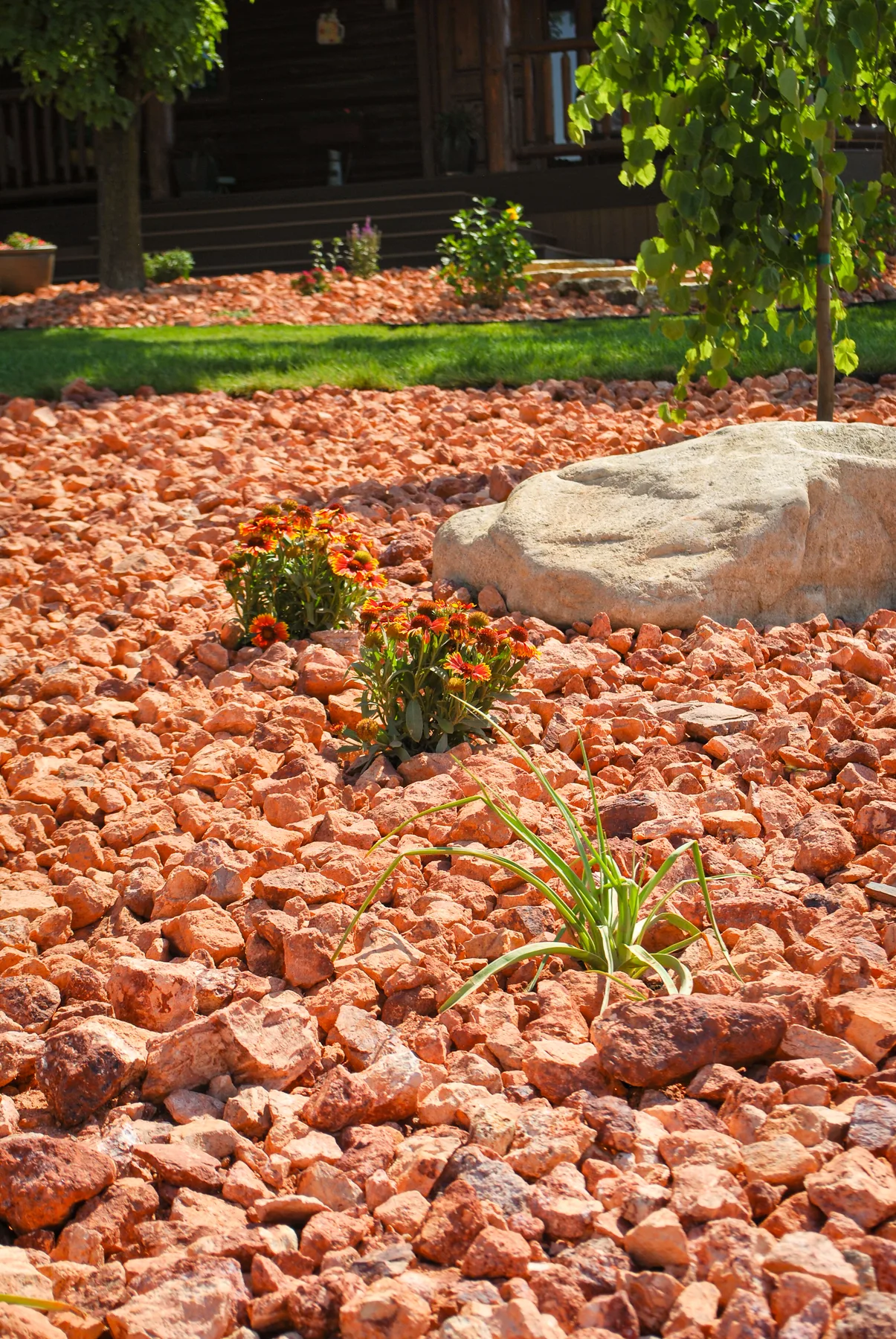 Water-wise xeriscape landscaping with rock and boulders