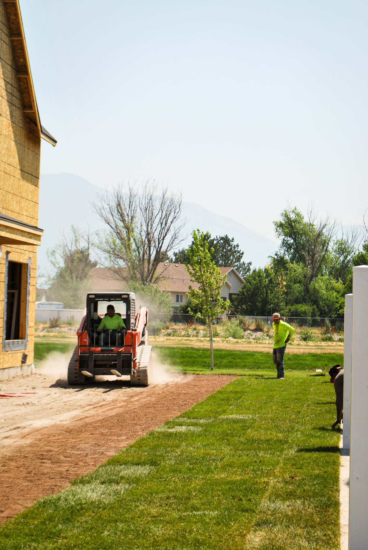 Fertilizing
