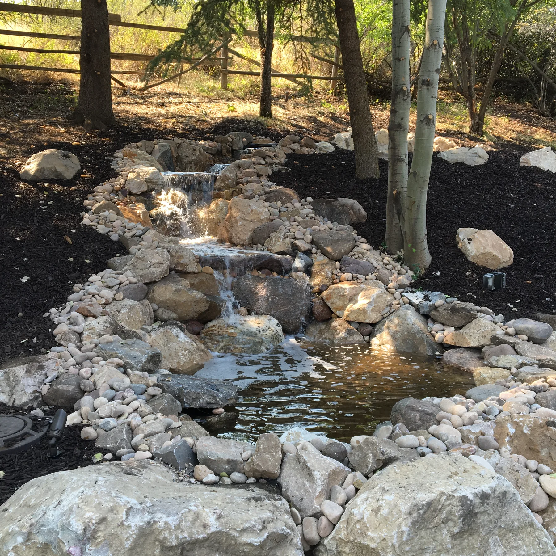 Backyard waterfall and pond water feature