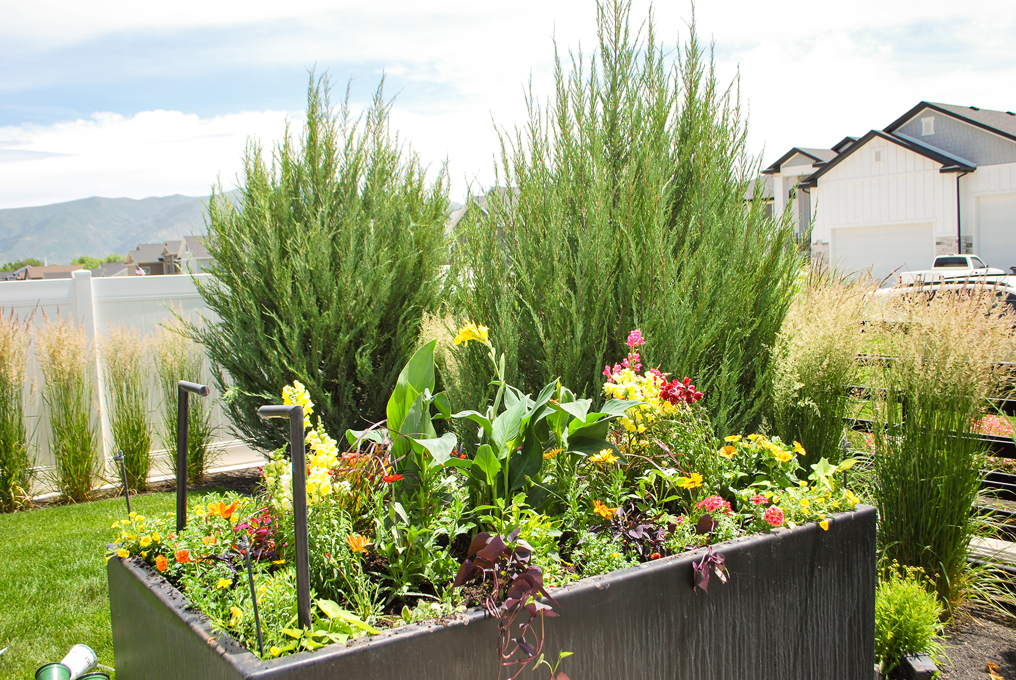 A thriving landscaped garden representing our values