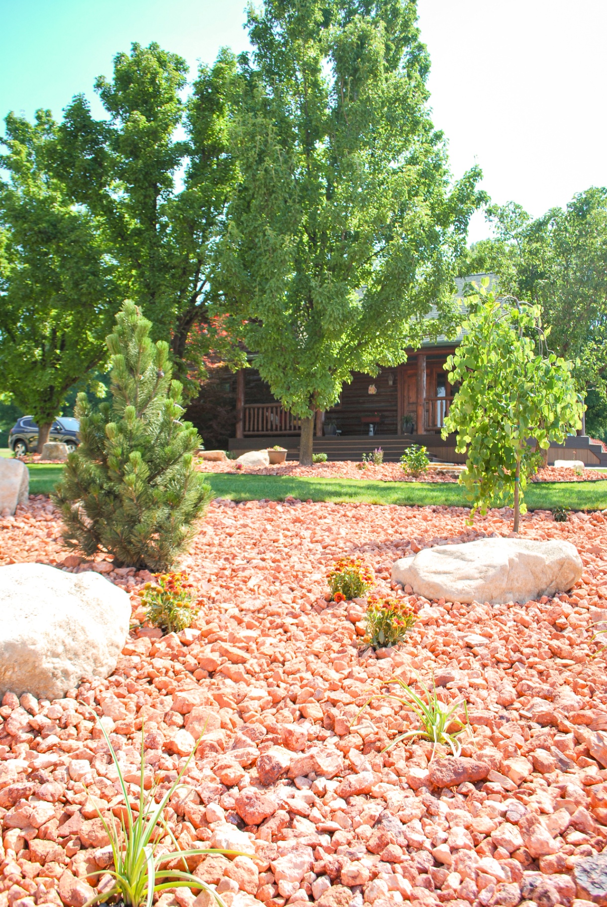 Red rock xeriscape with pine and boulders in front of a log cabin