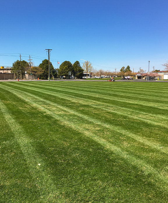Maintenance Grass Field